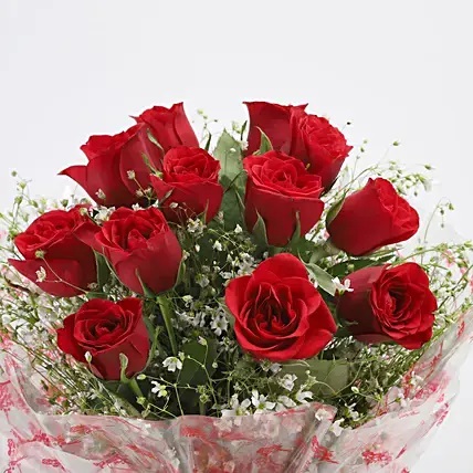 12 Velvety Red Roses