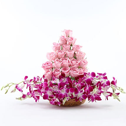Buy Orchid Flowers Online in India from FNP